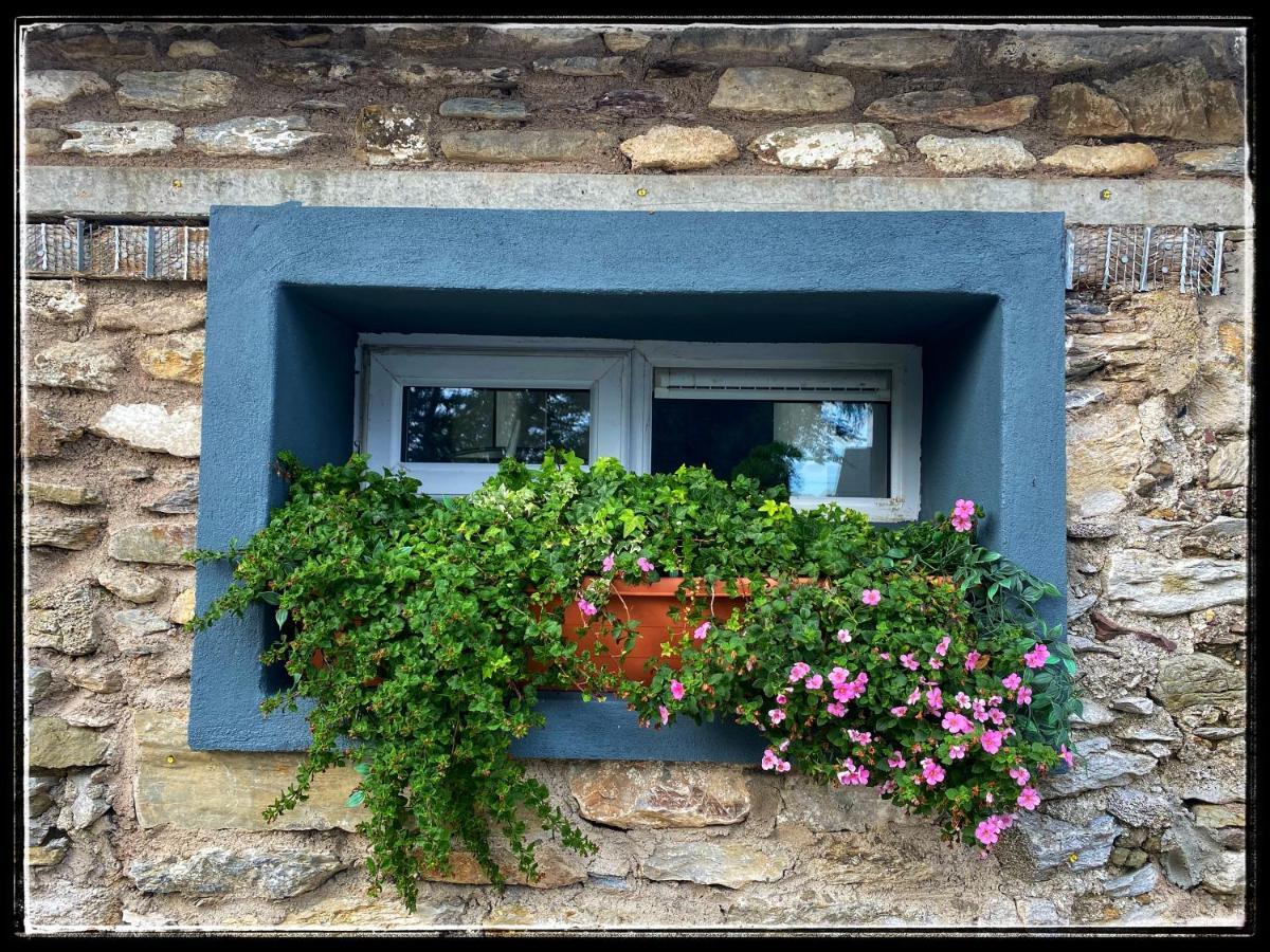 Sanctuary Lodge Cork Luaran gambar